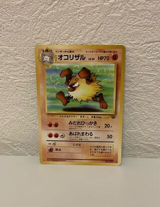 オコリザル LV.35 旧裏