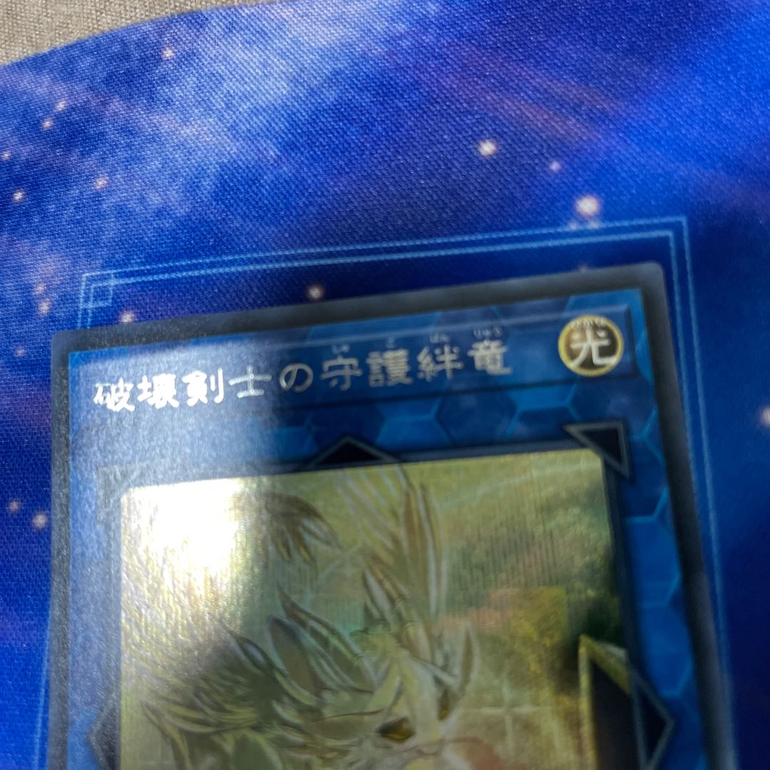 Protector Whelp of the Destruction Swordsman Secret Rare JP006