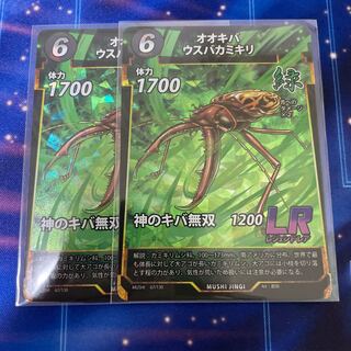 蟲神器　オオキバウスバカミキリ　LR 2枚