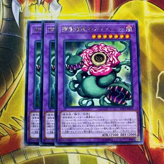 捕食植物キメラフレシア