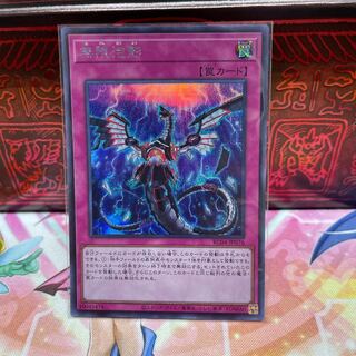 No.2169 P屋 Infinite Impermanence [Secret].