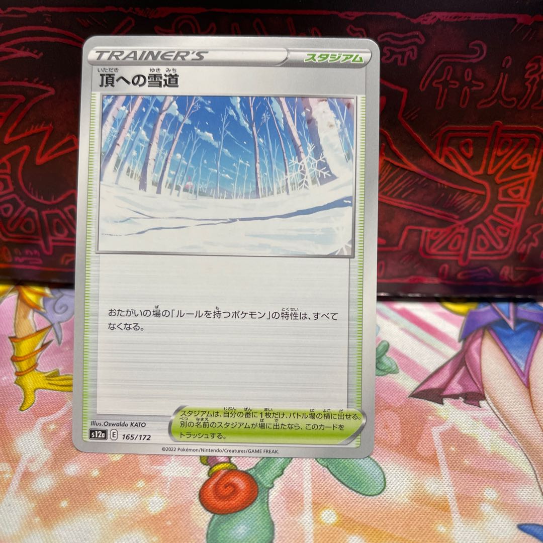 No.199 P屋　頂への雪道【-】