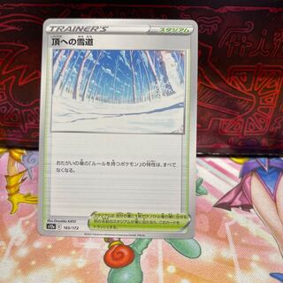 No.199 P屋　頂への雪道【-】