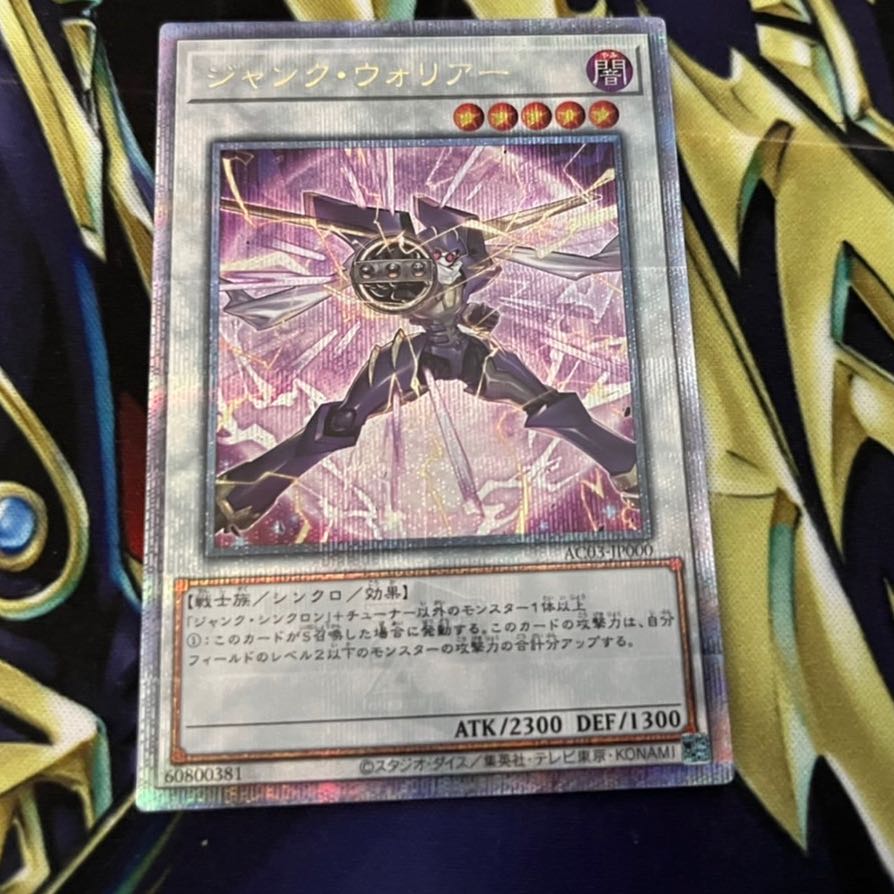 Junk Warrior QCSE JP000