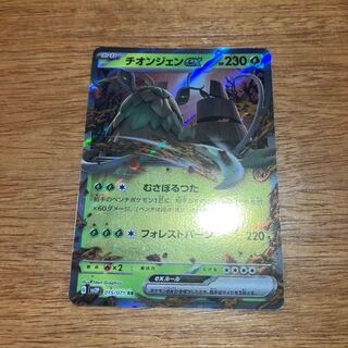 チオンジェンex RR 015/071