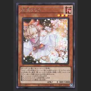 灰流うらら【エクセ】シークレット PAC/管理:MY1350