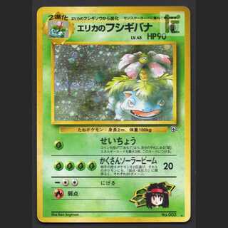 Erika's Venusaur LV.45 [Plaid] old back/managed by MP6811