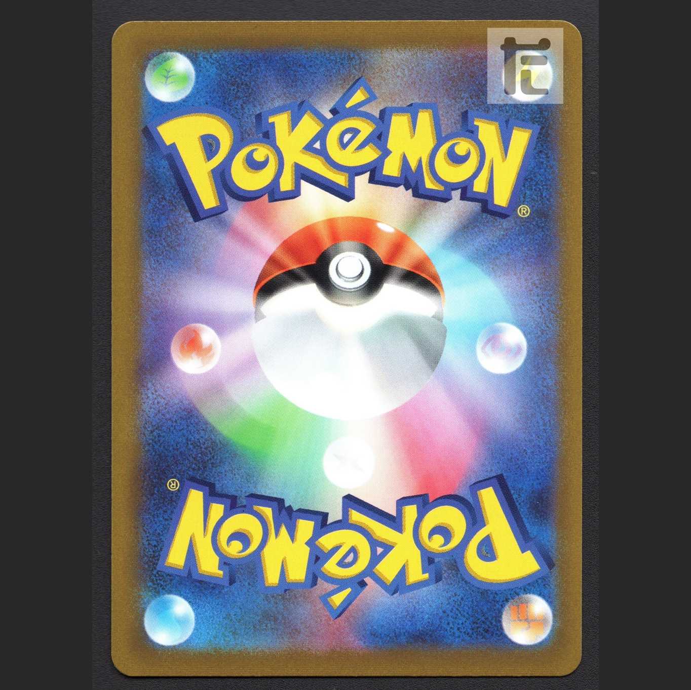 カトレア【ニア】HR/管理:MP6749