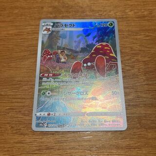 パラセクト CHR 072/071