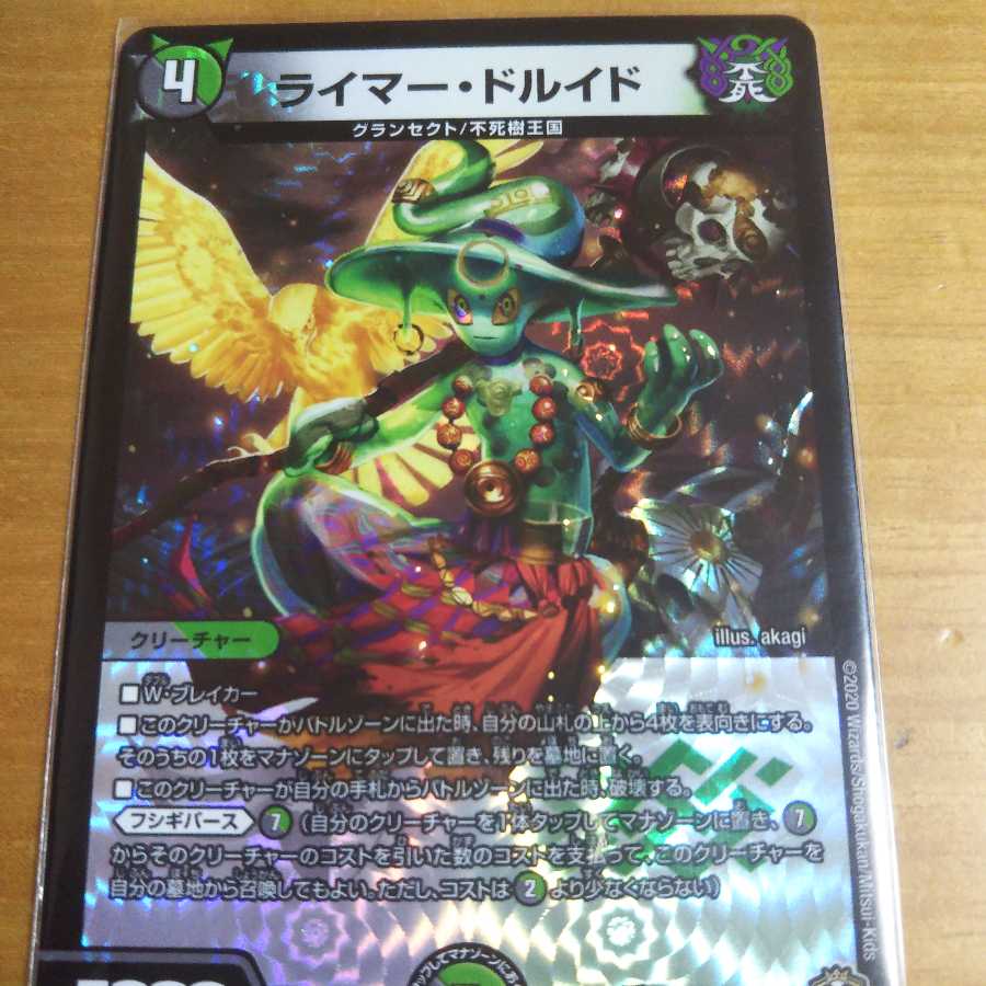 ライマードルイド