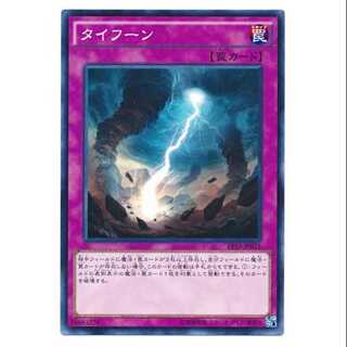 二枚目以降100円引/EP15-75/タイフーン