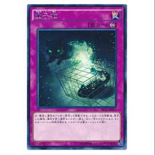 二枚目以降100円引/EP15-77/量子猫