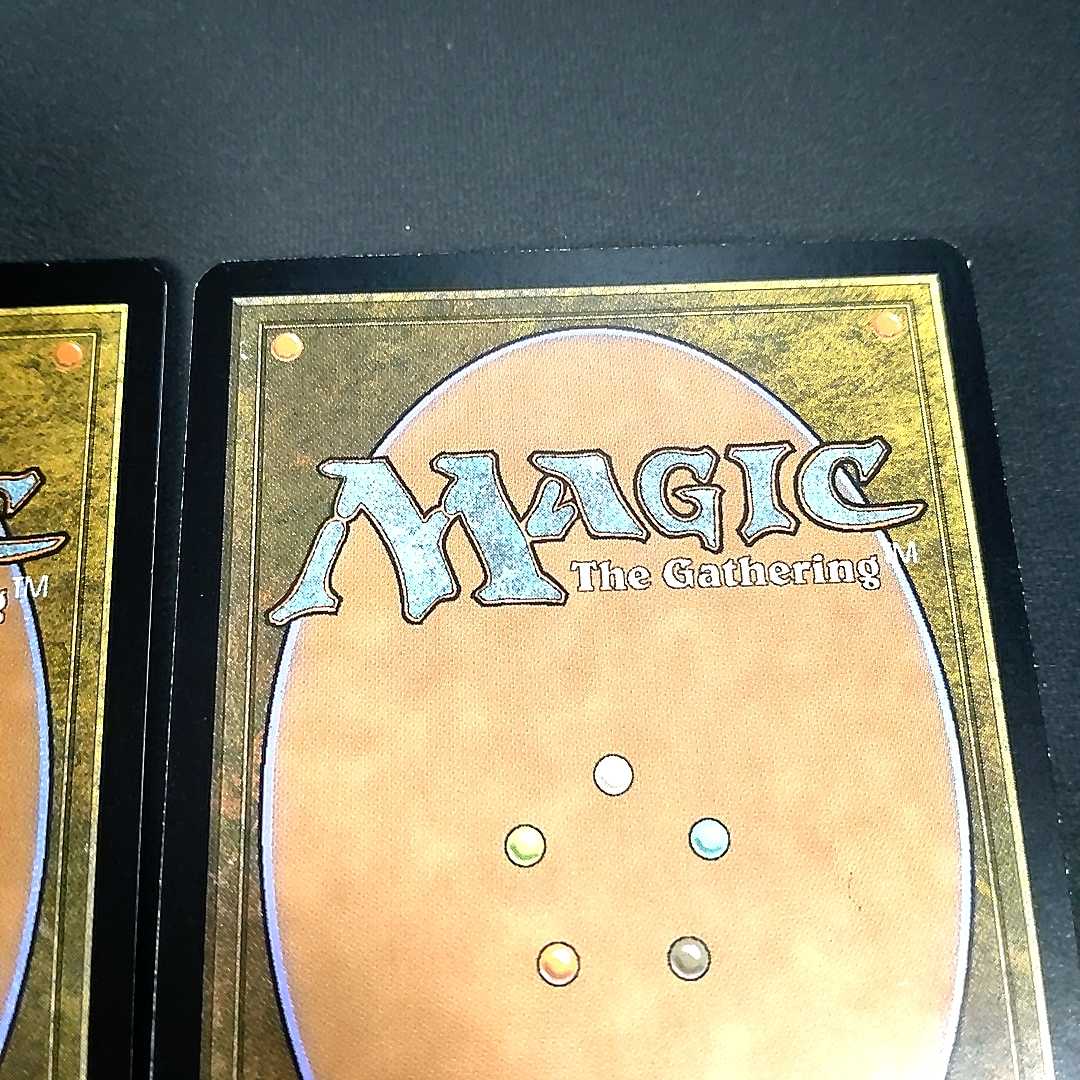 Misty Rainforest ZEN Japanese 2 copies