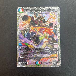 切札勝太&カツキング -熱血の物語-(銀トレジャー) DSR TR1/TR9