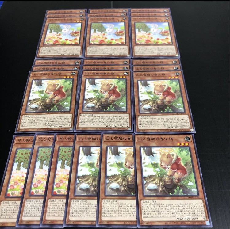 0282 Spring Conversion Spirit of Flowers and Fields Spring Conversion Spirit of Mountain and Melting Snow 24-piece set, ready for immediate purchase.