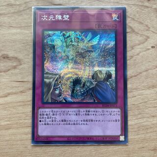 Dimensional Barrier Secret Rare JP073