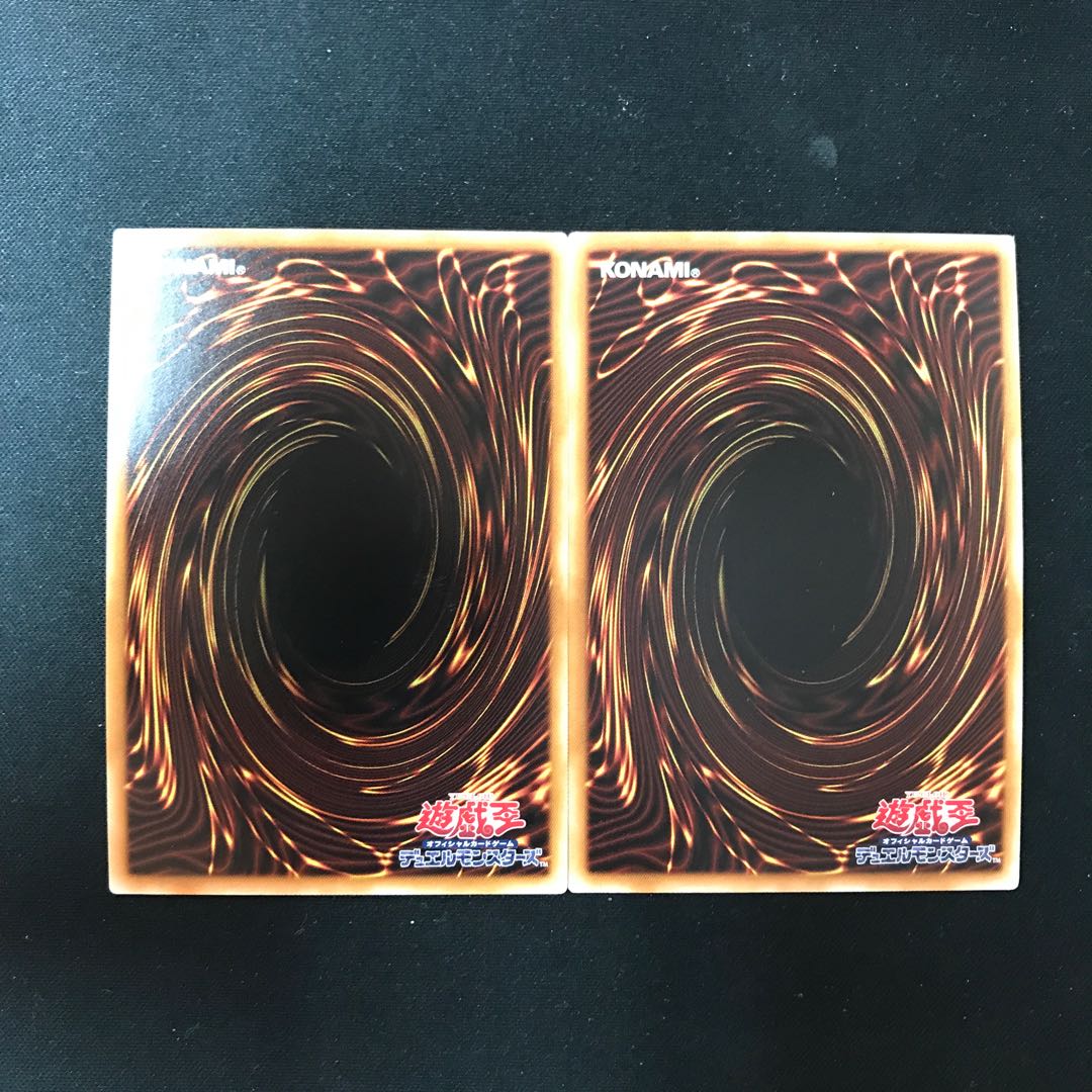 Future Polymerization-Future Fusion Parallel Ultralea JP037