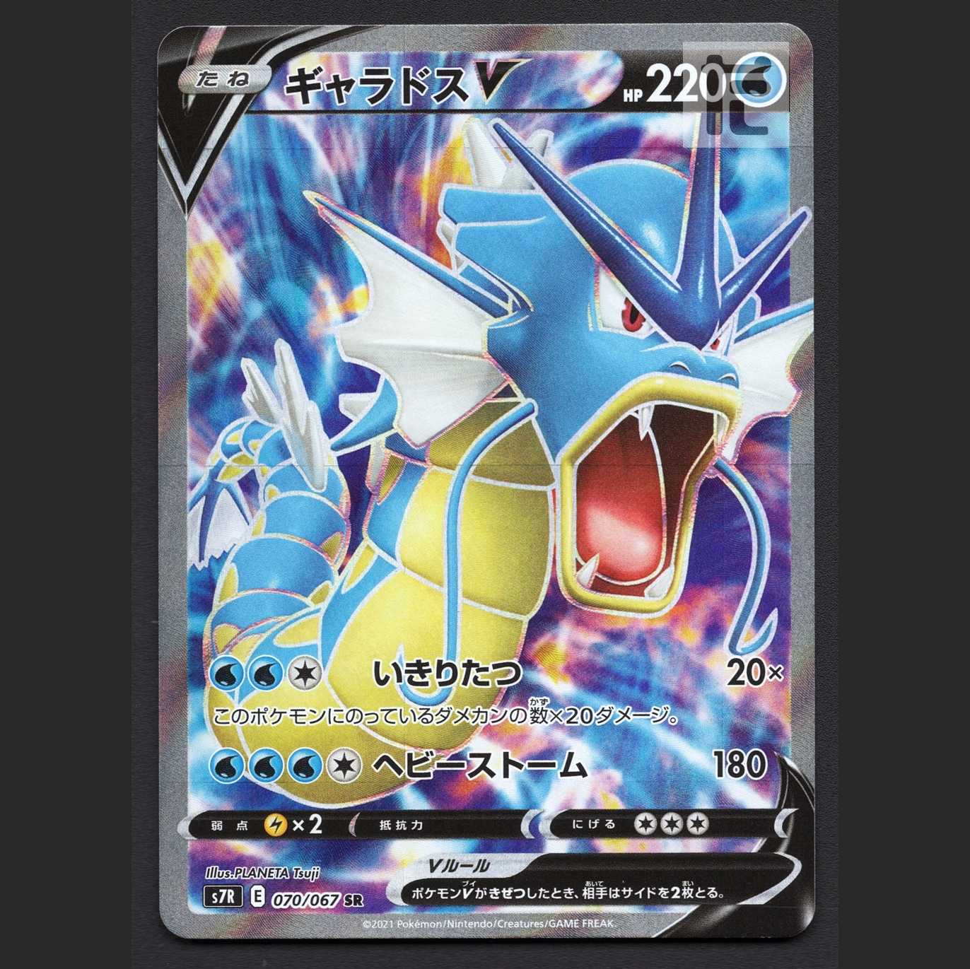 ギャラドスV【ニア】SR/管理:MP6929