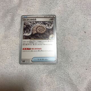 古びたかいの化石 C 154/165