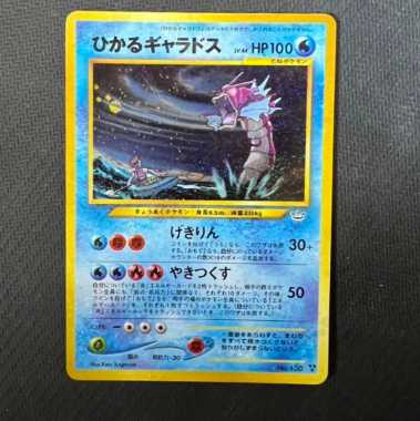 Hikaru Gyarados Old Back