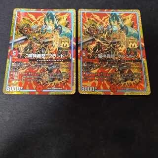 "Demon's Roaring Rage" brand MAS 2 pieces