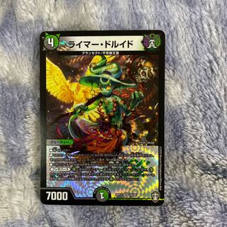 ライマードルイド