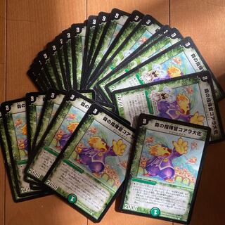 森の指揮官コアラ大佐