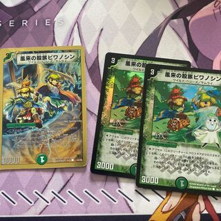 風来の股旅ビワノシン