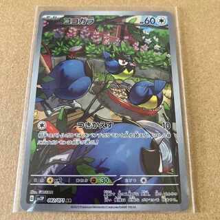 Pocketka] Rookidee AR