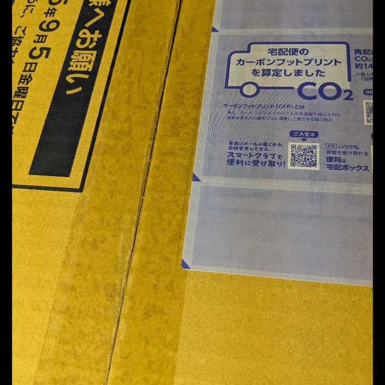 希少 在庫ラスト カートン発送 スターターセットMEGA メガゲンガーex 24box 未開封BOX 24BOX