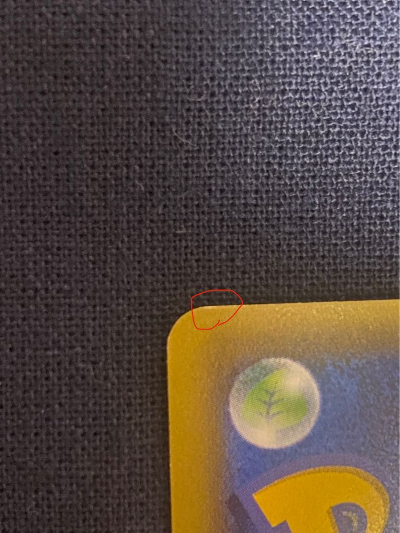 Pikachu PROMO 230/XY-P in poncho