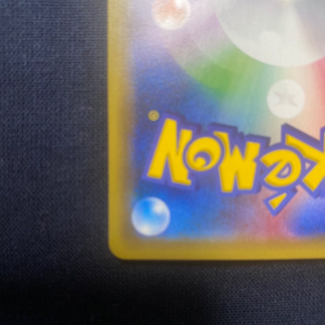 Pikachu in poncho black Rayquaza