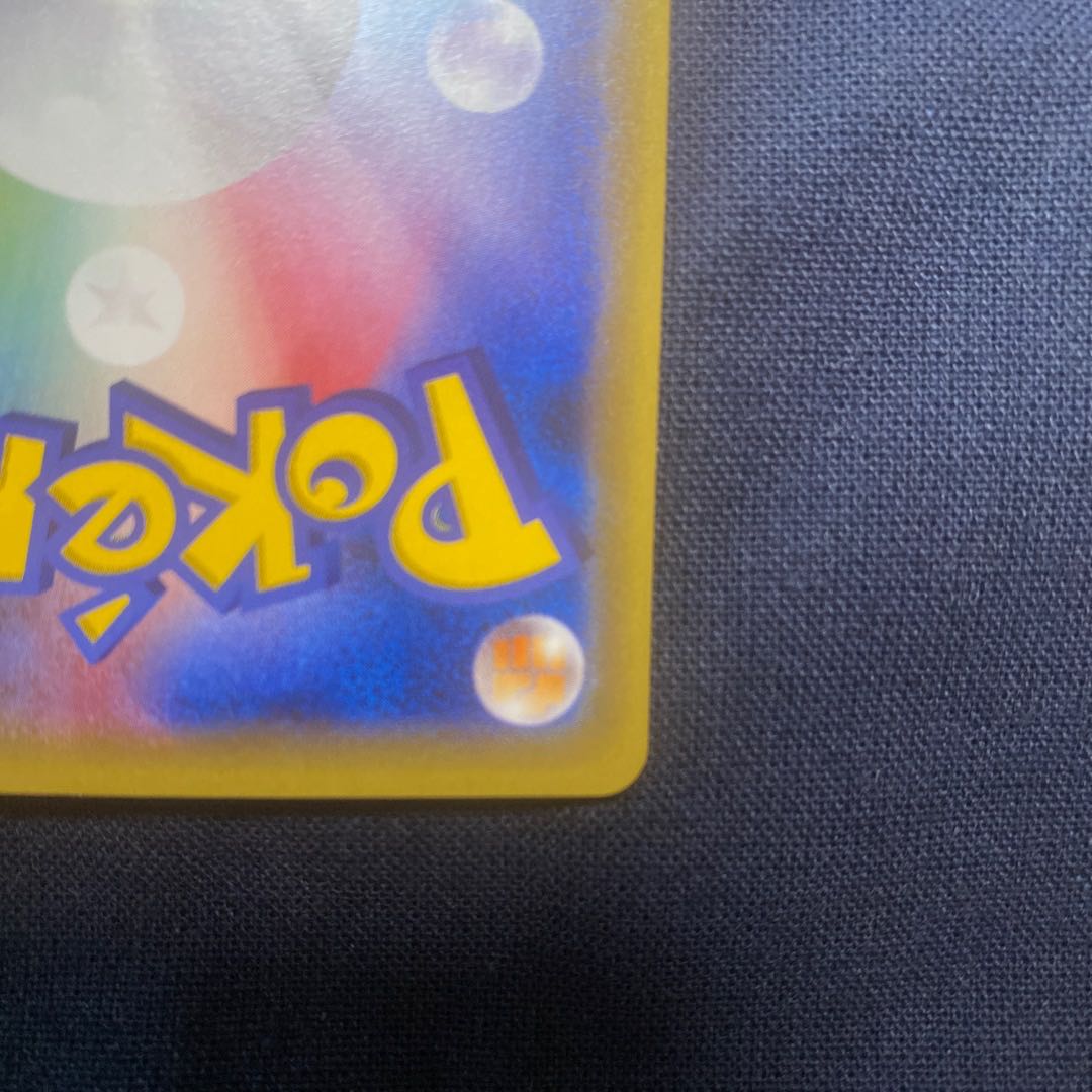 Pikachu in poncho black Rayquaza