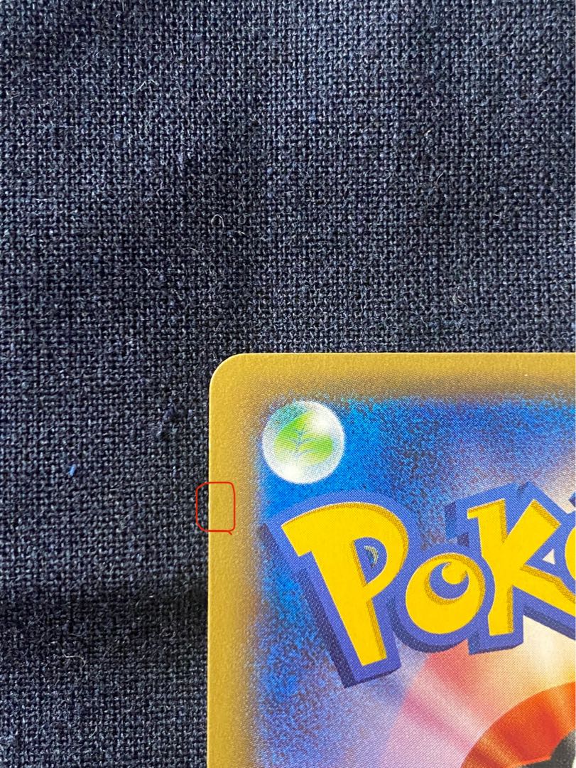 Pikachu in poncho black Rayquaza