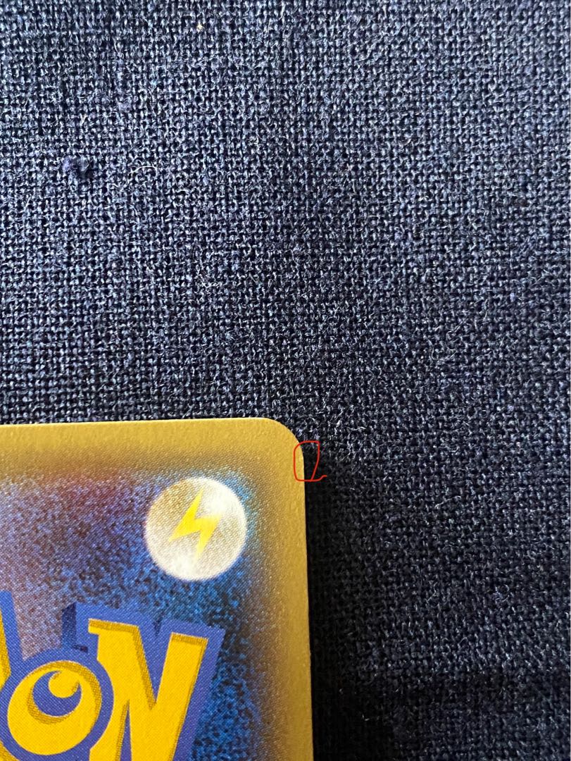 Pikachu in poncho black Rayquaza