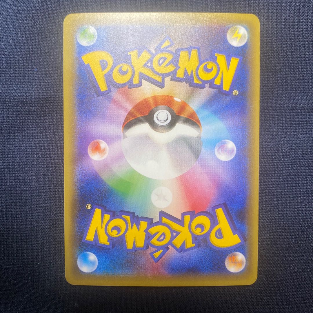 Pikachu in poncho black Rayquaza