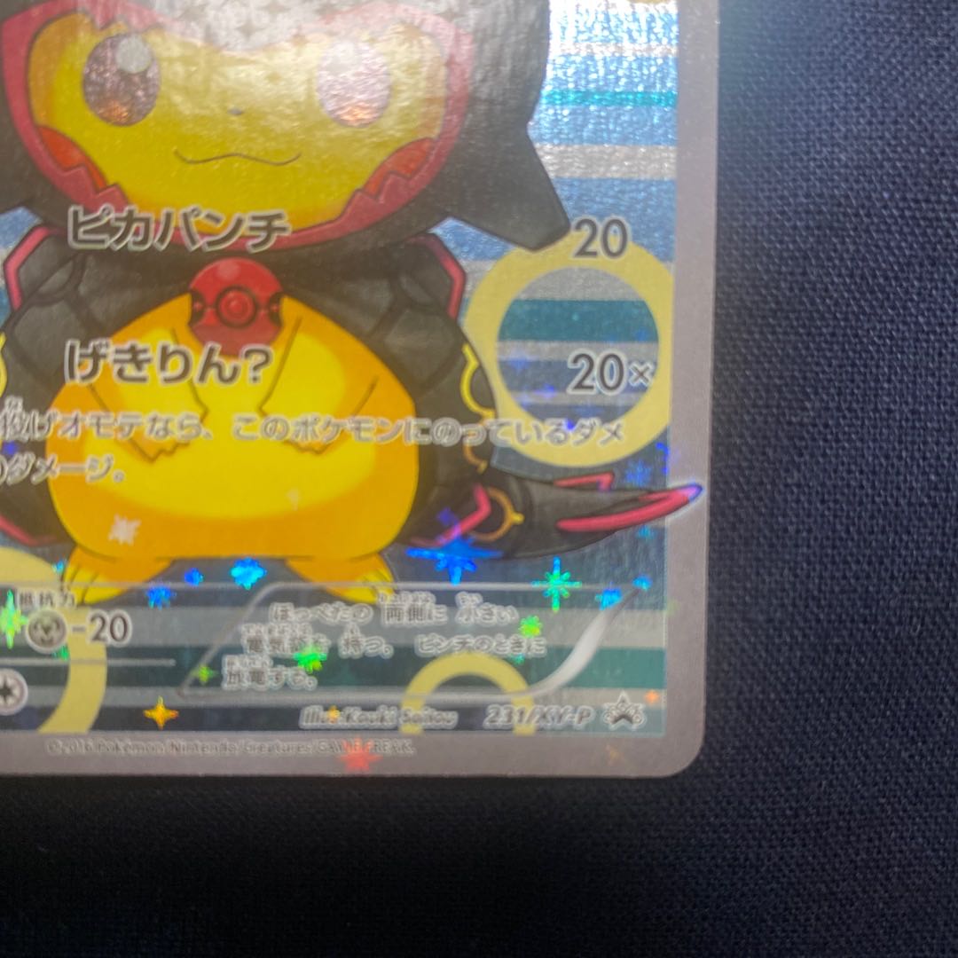 Pikachu in poncho black Rayquaza