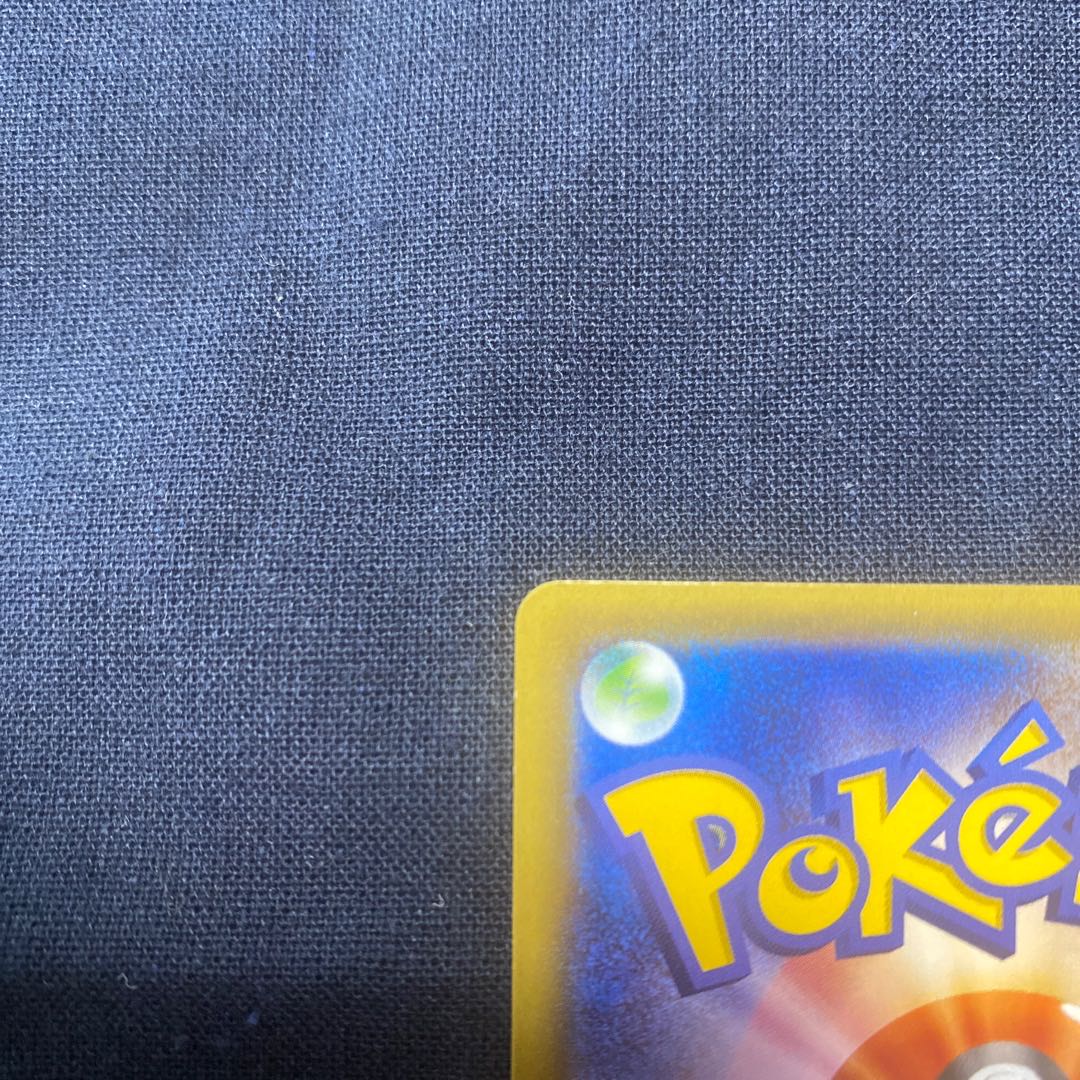 Pikachu in poncho black Rayquaza