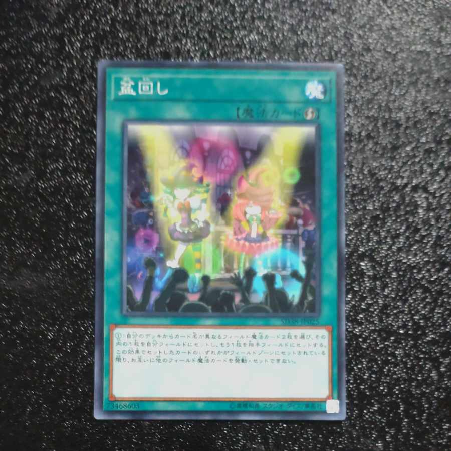 Set Rotation Normal JP030