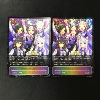 Spinning Thoughts SL