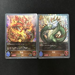 神龍　進化セット