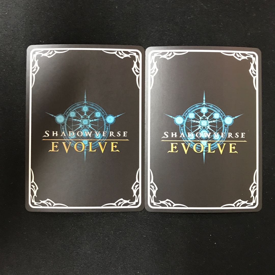 竜を育む者・マチルダ　PR