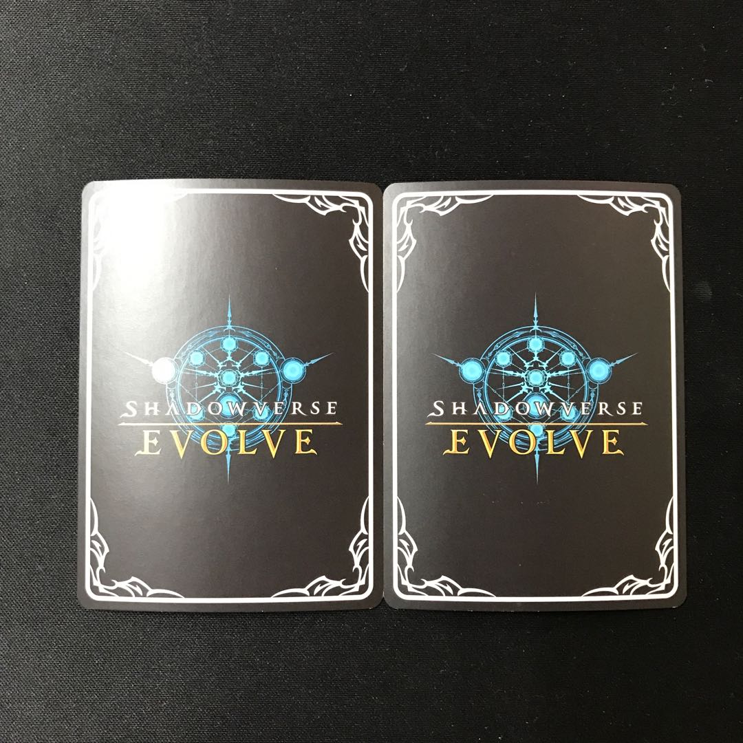 鉄壁のガードナー BR プレミアム