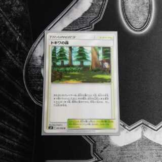 セットで100円引き!!トキワの森