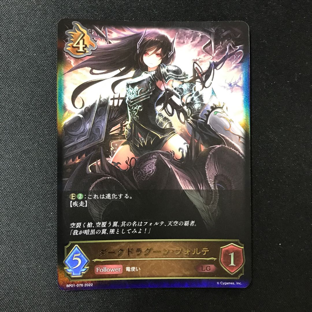 Dark Dragoon Forte LG