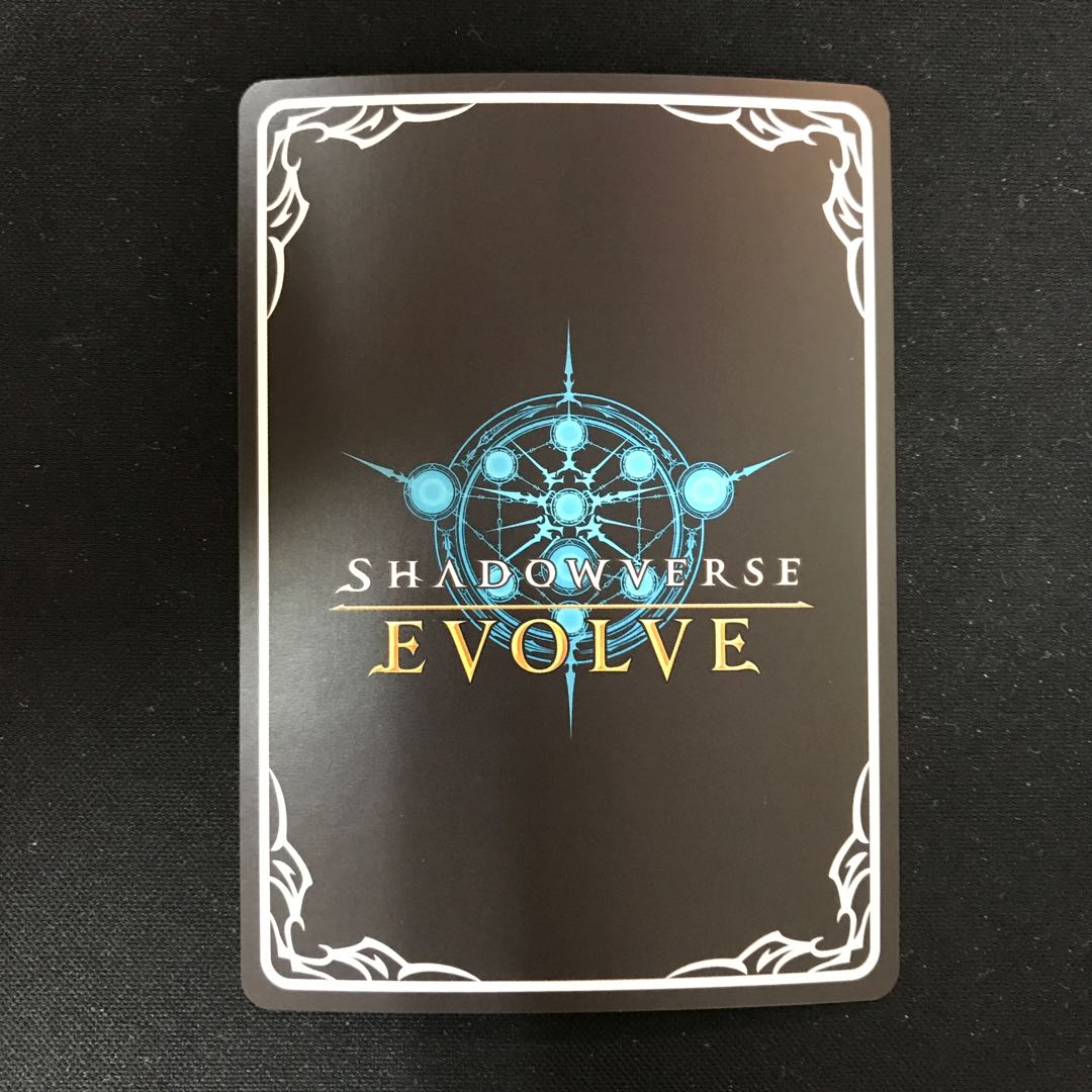 Dark Dragoon Forte LG