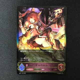 ケルベロス LG EVOLVE