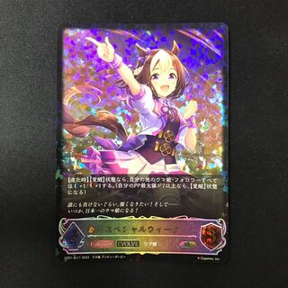 スペシャルウィーク　EVOLVE SL