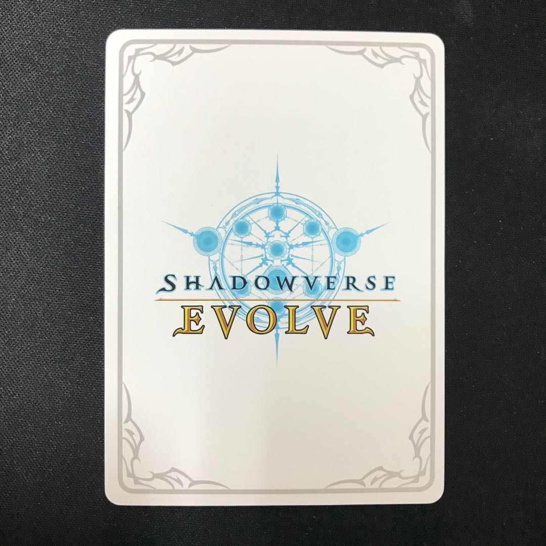 ルナ　リーダー