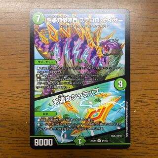 闘争類拳嘩目 ステゴロ・カイザー｜お清めシャラップ R 41/110